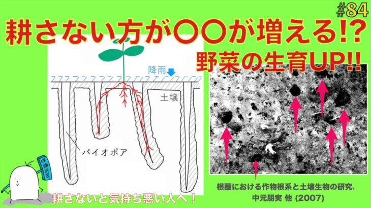 【#84】耕さない不耕起栽培の利点!!あるものが増えることにより野菜の生育がうまくいく!!