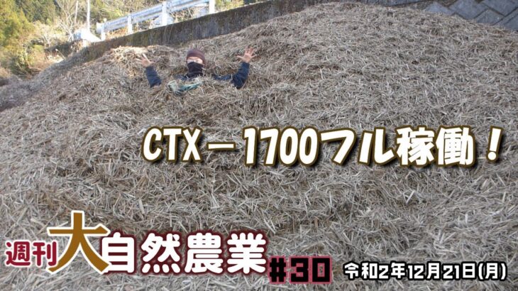 チッパー(アテックス　CT-X1700)を使ったカヤの裁断作業　＃30【週刊　大自然農業】