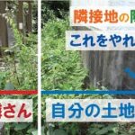 【庭DIY】草刈り機で除草、庭作り。でもお隣さんの敷地と隣接している時は,これに気を付けて DIY How to garden diy　草刈り機を使い除草＋防草シートの敷き方