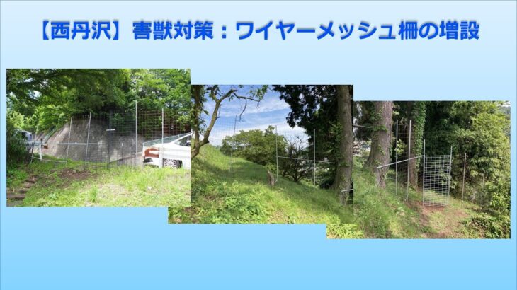 【害獣対策】：柵の効果あり‼ 鹿、猪、ハクビシンなども殆ど来なくなった：「ワイヤーメッシュ柵の増設」