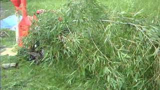 カルイ樹木粉砕機　笹葉付の長〜い竹を一発で竹パウダーに