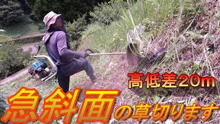 【高低差２０ｍの急斜面の栗山の草刈り】（背負い式草刈り機）