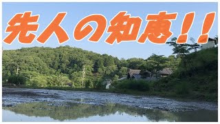 【田んぼ】手押し耕運機で畑を田んぼに転換する!!問題は水平化・均平化の方法。水平機能付きトラクターがない場合。