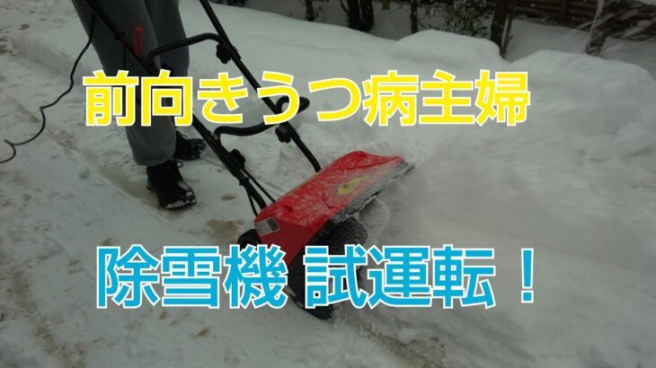 前向きうつ病主婦 除雪機試運転 年末のご挨拶