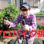 104・18ch エアロバイクおばあちゃん乗ってみた（足の筋トレ）