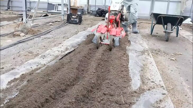 ガチガチな畑をフワフワに土起こし【スコップ】【ミニ耕運機】2021/8/11