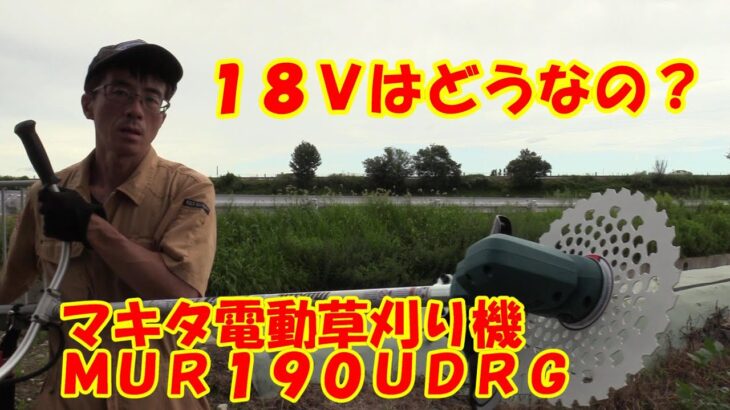 １８Ｖは使えるのか？！ マキタ電動草刈り機MUR190UDRG