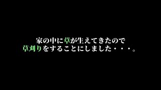 家の中に草が生えてきたので、草刈り機で草刈りしてみた！