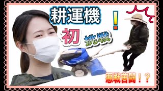 【耕運機】サツマイモの苗植えに初挑戦する田舎暮らし女子！