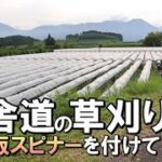 草刈り｜田舎暮らし｜安定板スピナーを草刈機(刈払機)に付けて地区を回る