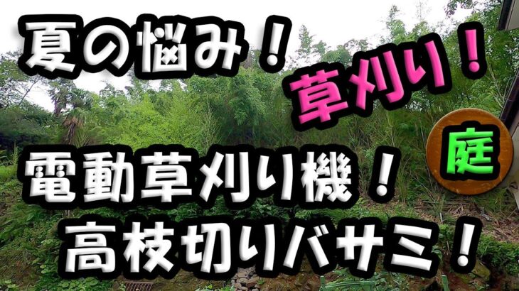 山（竹林）の草刈り　「電動草刈り機でも十分使えます」