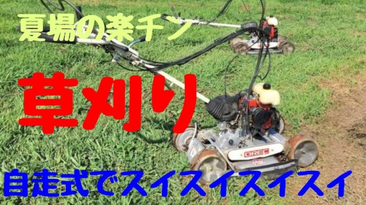 楽チン【草刈り作業】。【自走式草刈り機】を使っての夏場の体に優しい草刈り作業。#自走式草刈り機#草刈り#夏場の草刈り