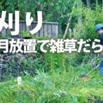 【草刈り】マキタ充電式草刈機でひと月放置した雑草を刈る【田舎暮らし】
