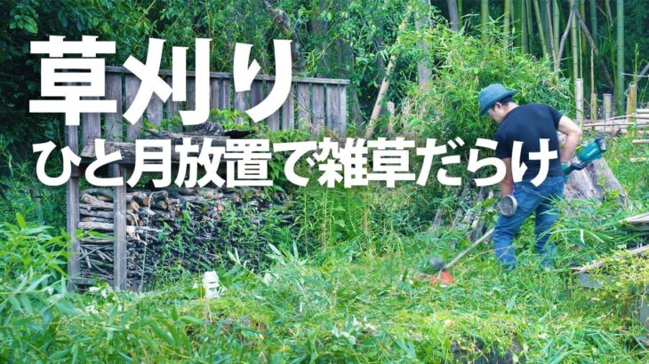 【草刈り】マキタ充電式草刈機でひと月放置した雑草を刈る【田舎暮らし】