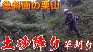 【雨の日（土砂降り）草刈り５つの利点４つの欠点】（急斜面・背負い式草刈り機）