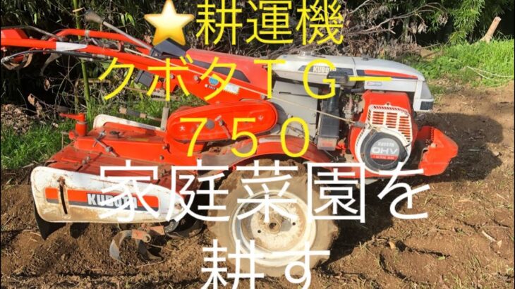 #管理機#クボタＴＧ－７５０#家庭菜園⭐️耕運機で家庭菜園を耕す！