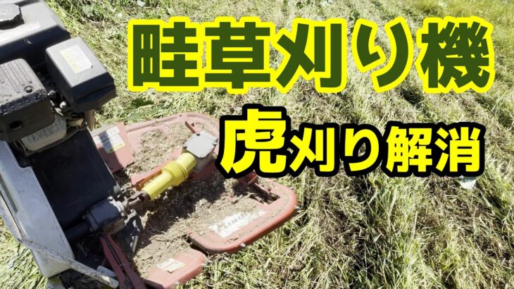 共立畔草刈り機　刃の交換作業したら！作業効率が倍になった　#106