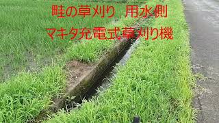 畦の草刈り　用水側　マキタ充電式草刈り機 　21/07/17 Vol.964