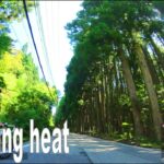🚴🎵60分 エアロバイク 景色動画 | 脂肪燃焼 | (EDM BGMバージョン)🚴  猪名川 in 兵庫県