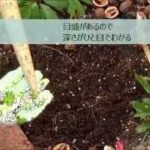 球根穴掘りツール　DEWIT GARDEN TOOL 【No.3087】