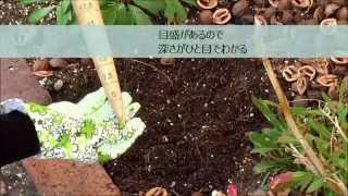 球根穴掘りツール　DEWIT GARDEN TOOL 【No.3087】