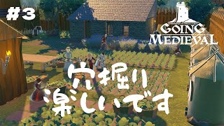 【Going Medieval #3】穴掘りしていたら夏が終わっていた