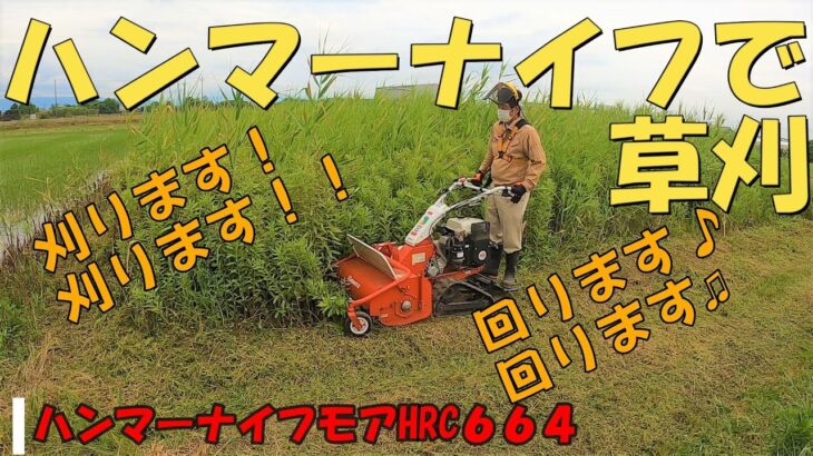 【草刈】HRC664ハンマーナイフモア　2021年夏　愛知県稲沢市　熱闘！耕支援！！(ねっとう！こうしえん！！)耕作放棄地をなくす活動　ストレス解消・スッキリさっぱりの草刈動画　共立乗用草刈機