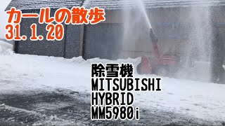 除雪機　三菱HYBRIDMM５９８０i  31.1.20 カールの散歩