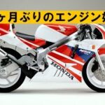 NSR250 MC21「１０ヶ月ぶりの始動チェック&MC16全バラ」おまけエアロックス登場