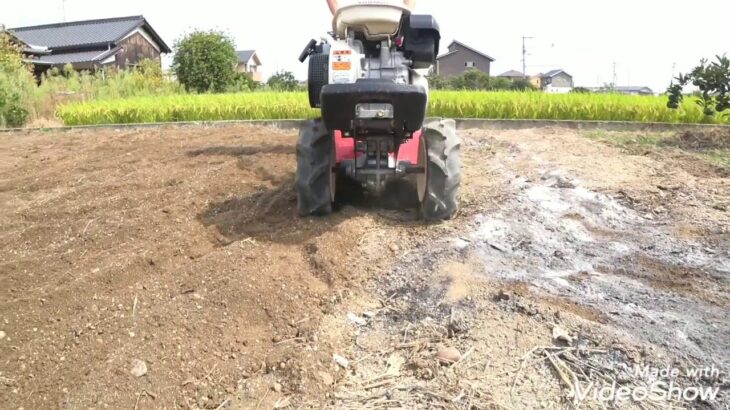 ヤンマー耕運機ポチ