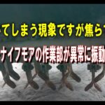 ハンマーナイフモア草刈り機が急に異常振動した時の原因と解決方法