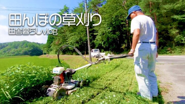 [vlog] 斜面草刈り機で田んぼ周辺の草刈りをしてきました【山口県の田舎暮らし】