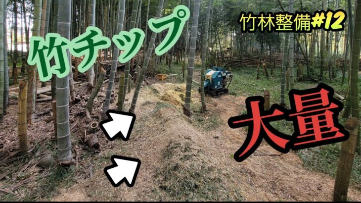 【竹林整備#12】竹チップ大量