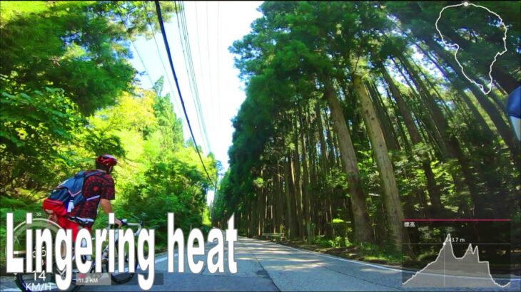 🚴60分 エアロバイク 景色動画 | 脂肪燃焼 | (BGM無しバージョン)🚴 猪名川　 in 兵庫県
