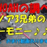 【91】ゼノア3兄弟のハーモニー♪　ゼノア草刈機BCZ245G / BKZ315L / BC4410DW  草刈り機　刈払い機　里山の暮らし　田舎暮らし