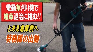 夏に生えた雑草退治　DIY　電動草刈り機のパワーを確かめがてら挑む　次はYouTube！