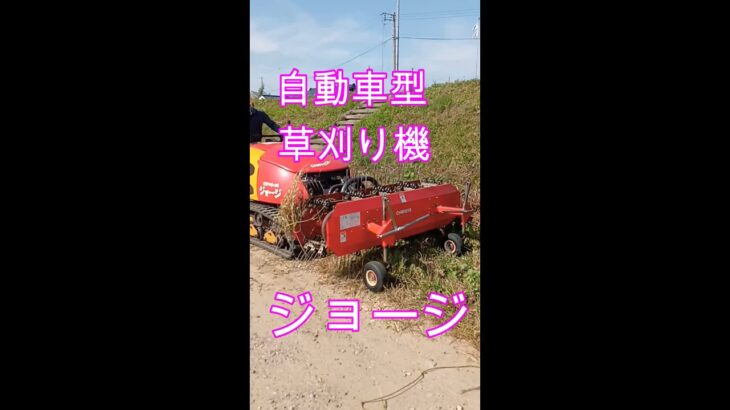 自動車型草刈り機　　＃草刈り機　#shorts