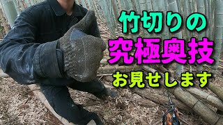 【農業系】チェーンソーを使って竹を切る時の小技とか【竹林系】