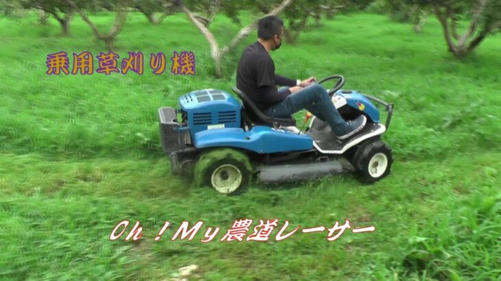 農家の草刈り（乗用草刈り機）