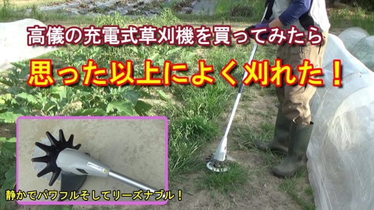 【家庭菜園】高儀の充電式草刈機を使ってみたら思った以上によく刈れた！－アマゾンのタイムセールで思わず購入－