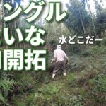 枯れた竹やぶの水路観察　山地酪農珠の牧