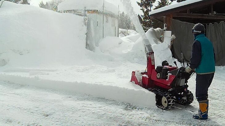 ワドー除雪機で除雪してみた