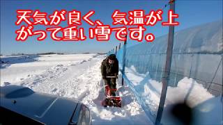 ２サイクルエンジンの小型除雪機で除雪　そりタイプ