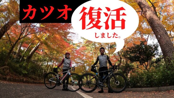 【カツオ手術してから1カ月、主治医OKでたので復活の紅葉ライド🚴】