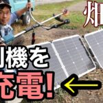 《畑で発電》ソーラーパネルで充電式草刈機を動かす【脱炭素】2021年11月19日