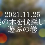 2021年11月25日　栗の木を伐採して遊ぶの巻