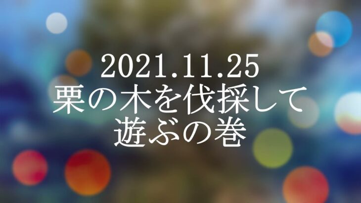 2021年11月25日　栗の木を伐採して遊ぶの巻