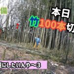 【竹林整備】ここを綺麗にしたいんや ～3 　竹１００本切り？