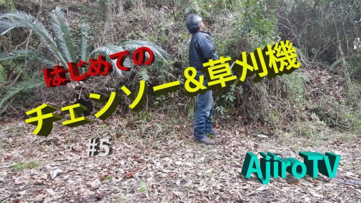 【傾斜地開拓】#5　蔦（クズ）と対決！はじめての草刈り機&チェンソー