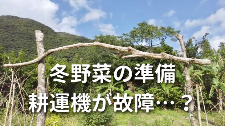 冬野菜の準備　耕運機からガソリンポタポタ…やばい。。 #67